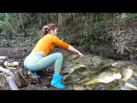Top Videos: Traditional Fishing, Fishing Technology, Use