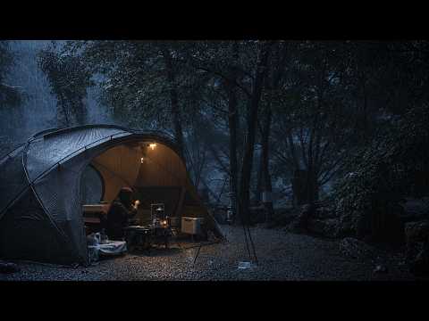 Camping in Heavy Rain with a Crazy Energetic Border Collie