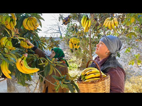 Fresh Banana Jam in the Village! Making Delicious Banana Pie