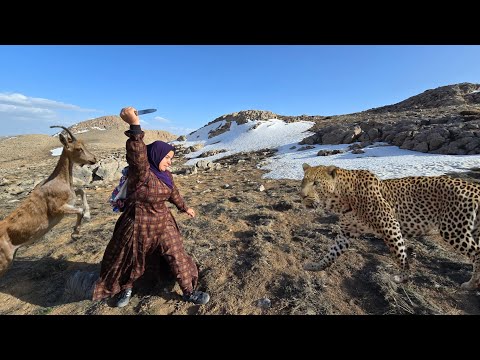 A pure moment with deer on a dangerous path: Searching for