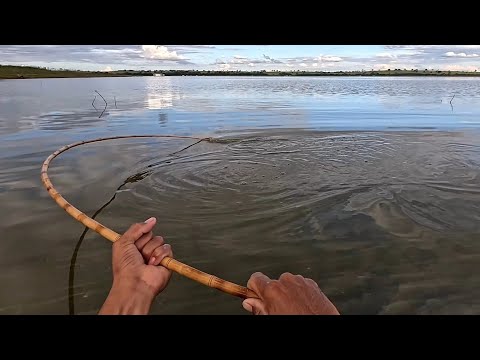 Que tremedeira que dá fisgar esses Gigantes do Rio turvo na