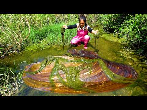 The water is not deep, but the pearl clam is very big