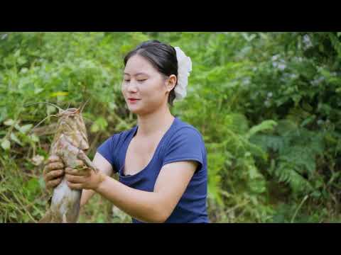 Harvesting Wild Silkworms from Trees & Go to Market Sell