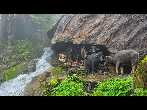 Real Nepali Mountain Village Life During the Rain