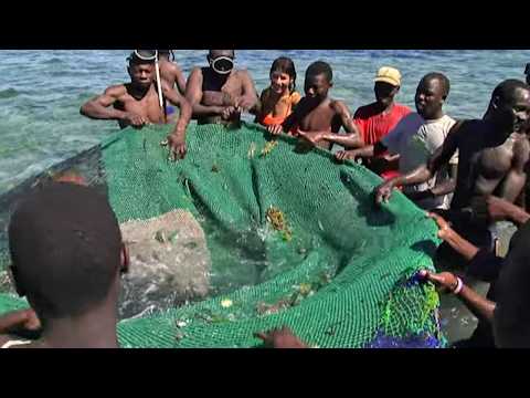 Le Mozambique, la nouvelle Arche de Noé