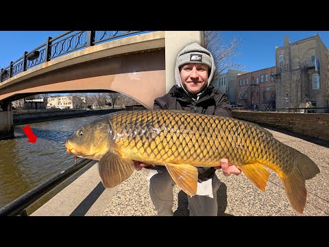 This Urban River is LOADED with Big Fish
