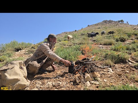Iran Nomadic Life: A Day with Jahangir Herding Sheep and
