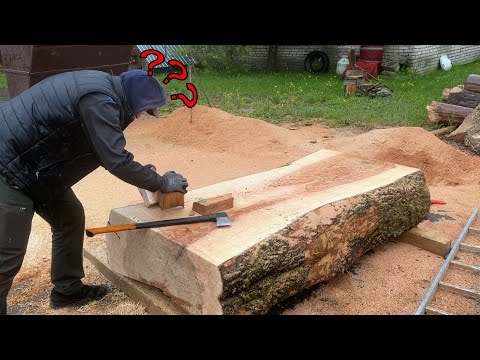Unexpected surprise in a 100 year old ash tree
