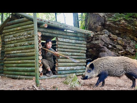 construction, bamboo shelter, skills, wild boar traps,