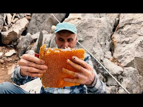 BAL BELGESELİ ( Dağlarda Bal Avı, Doğal Bal Keşfi )