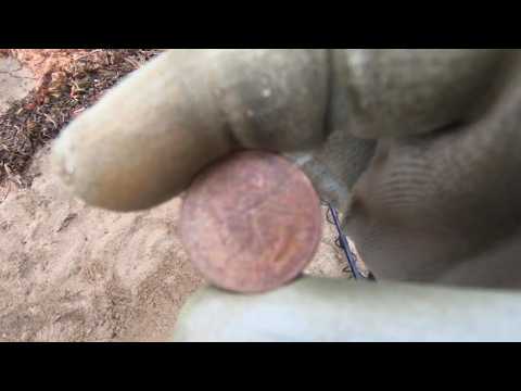 12 Mins of Metal Detecting - New Hampshire Quarter For The