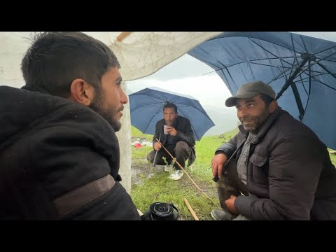 ŞEMSİYELERİN ALTINDA MUHABBET- DEV AYIYI GÖRÜNTÜLEDİK