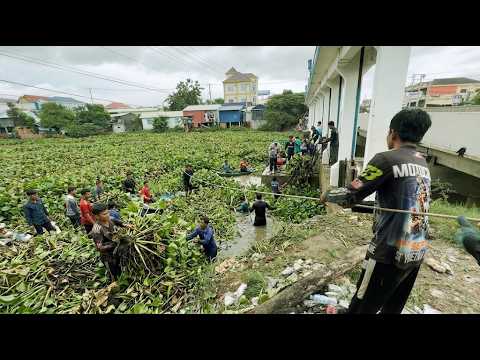 Dangerous Mission Removing Huge Vegetation Piles Blocking