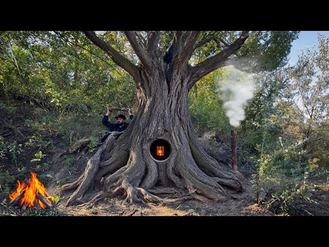 Building a Secret Shelter Inside a Giant Tree Bushcraft &