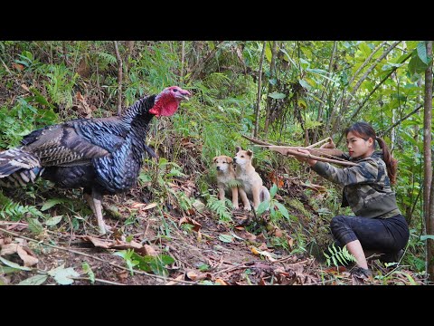 Detect, track and chase turkeys, shoot night fish, cook,
