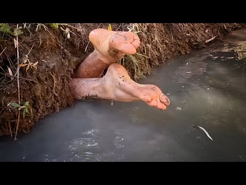 The World's Simplest Fishing Techniques / Unbelievable
