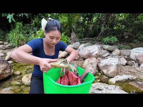 Harvesting Wild Softshell Turtles on the Mountain & Go to
