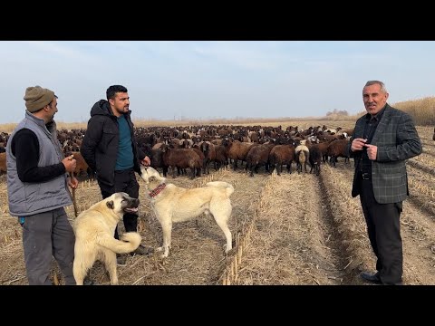 UZUN BİR ZAMANDAN SONRA İLK VİDEO - YOLCULUK BOYU ERDAL