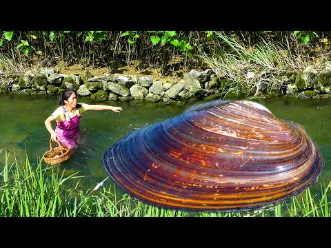 The clam is so big that it's about to climb ashore, no
