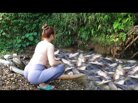 Interesting Fishing Technique, Drain Water from the Lakes,