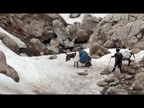 KARLI DAĞLARDAN GEÇİYORUZ BİR KUZU ÖLDÜ (8 BÖLÜM)