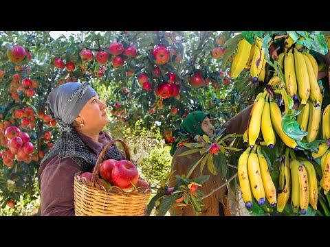 Fresh Banana, Apple and Feijoa Jam in the Village! Grandma