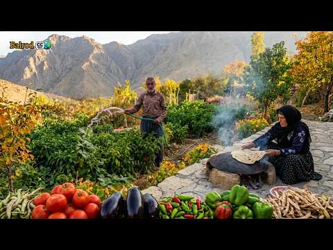 Nomadic life in autumn; harvesting organic vegetables and