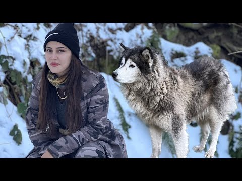 Snowy Village Life: Caring for Animals and Cooking