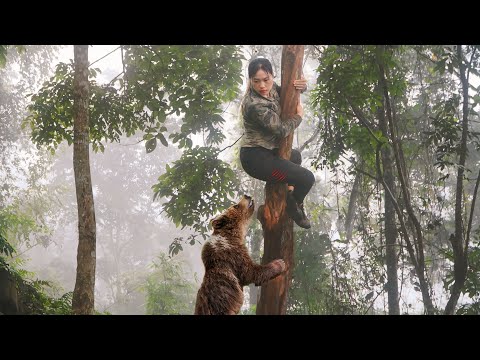 Faced with a wild bear, while fishing in a stream, panicked