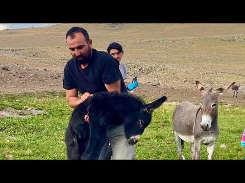 SIPANIN DURUMU ÇOK KÖTÜ