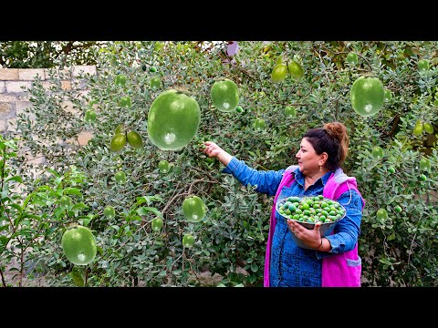 Harvesting Juicy Feijoa Fruit and Making COLD JAM and JUICE