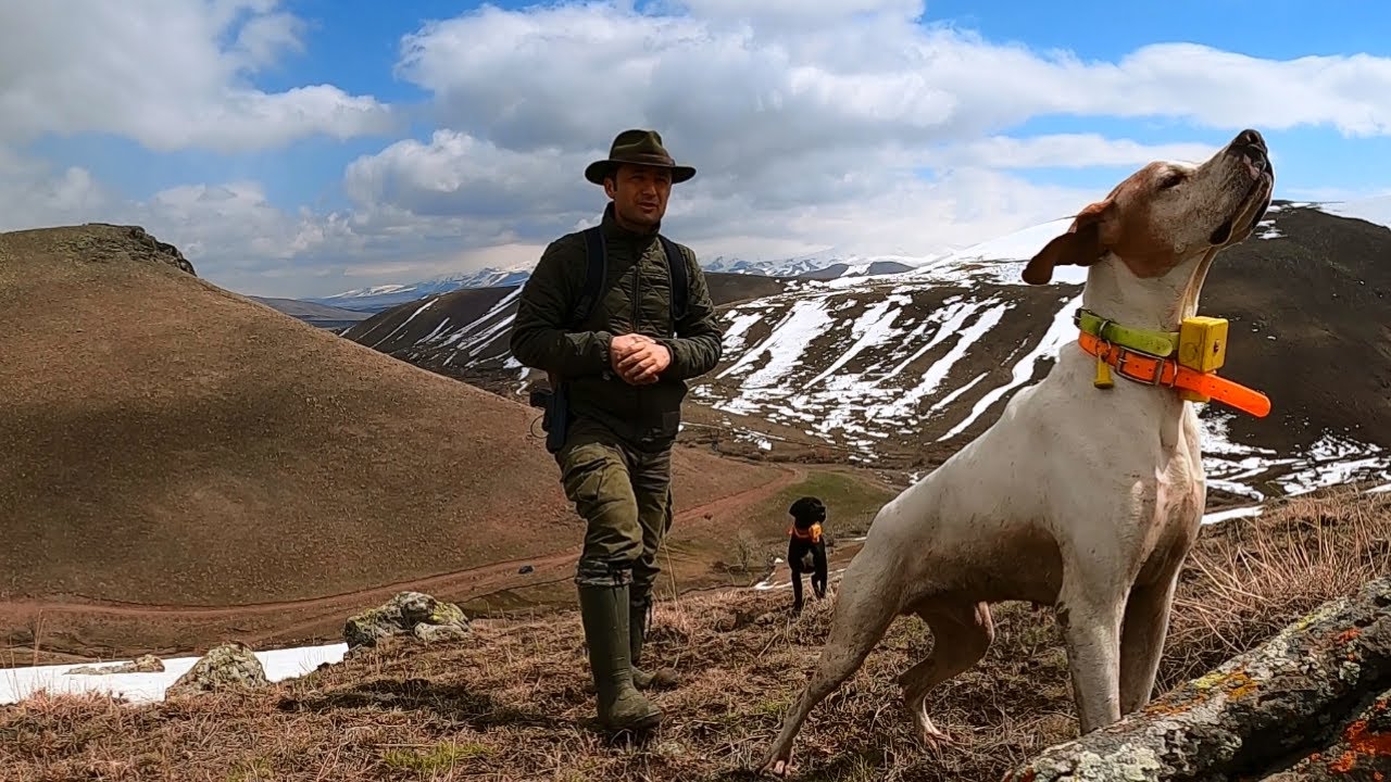 2021 tavşan keklik avlarıPartridge huntPartridge and rabbit