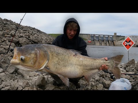 48 Hours Fishing for INVASIVE Monsters in Raging Spillways