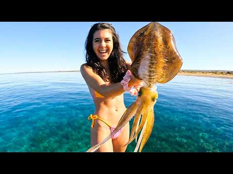 SURVIVAL Catch And Cook:Hunting Monster Giant Tiger Squid