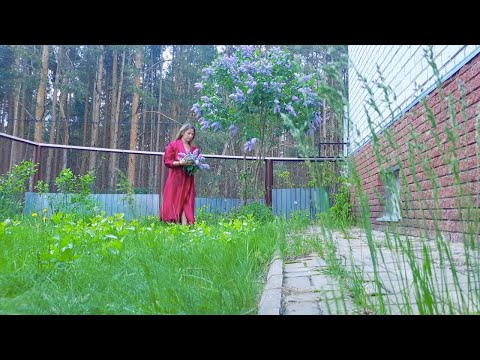 My life Vlog | Living by the forest | Big Rural House Tour