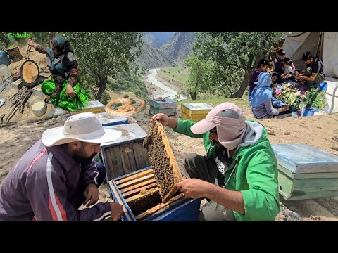 How Nomads Cook in the Mountains? Traditional Bread &