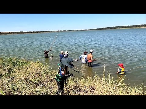 Que lugar Incrível todo mundo pegou peixe até às crianças