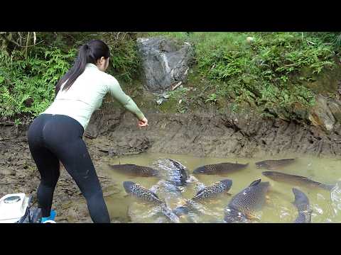 Fishing Technology: Interesting Fishing Technique Catch A