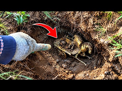 Romalı Çiftçinin Definesini Bulduk Bakın İçinden Ne