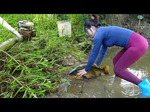 Fishing Method of Single Girl, Drain Water from the Lakes