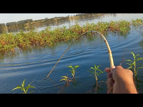 Pescaria de tucunare e peixe frito no barranco esse lugar é