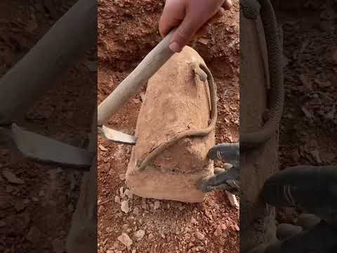 Define Bulan Adam! Yıllar Sonra Gizli Hazine Ortaya Çıktı