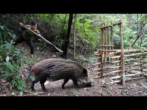 winter survival, wild boar trapping skills, squirrel