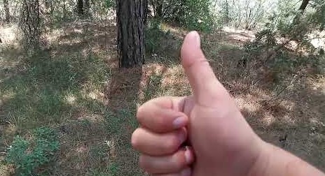 Ormanda Define Ararken Medeni Metallar Çıktı