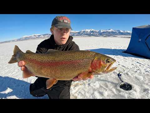 This Mountain Lake is LOADED with Trout (50 Fish in 1 Day)
