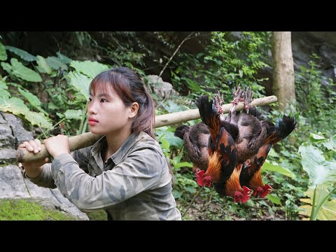 Hunting wild chickens at night, eating wild fruits,