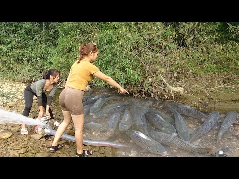 Greatest Fishing Videos: How to Fishing From Puddles,