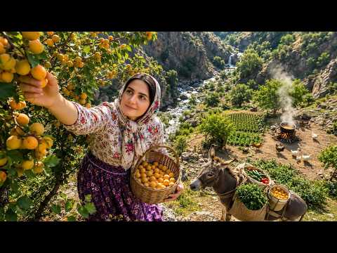 Traditional Bread Baking & Amazing Cooking | Village