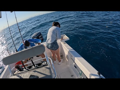Yellowtail catch and cook miami florida