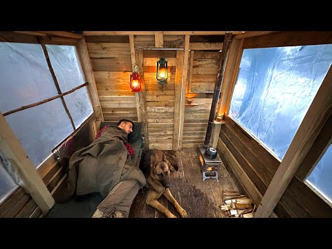 Winter Camp in a Wooden Cabin / Alone with my Dog in ter
